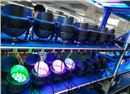 led户外投光灯老化
