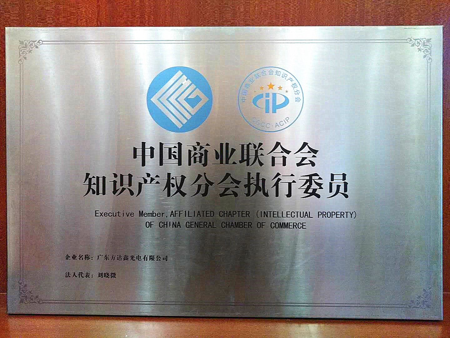 中国商业联合会知识产权分会执行委员