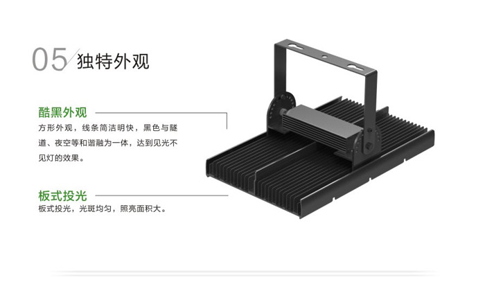 LED模组块隧道灯C01-4