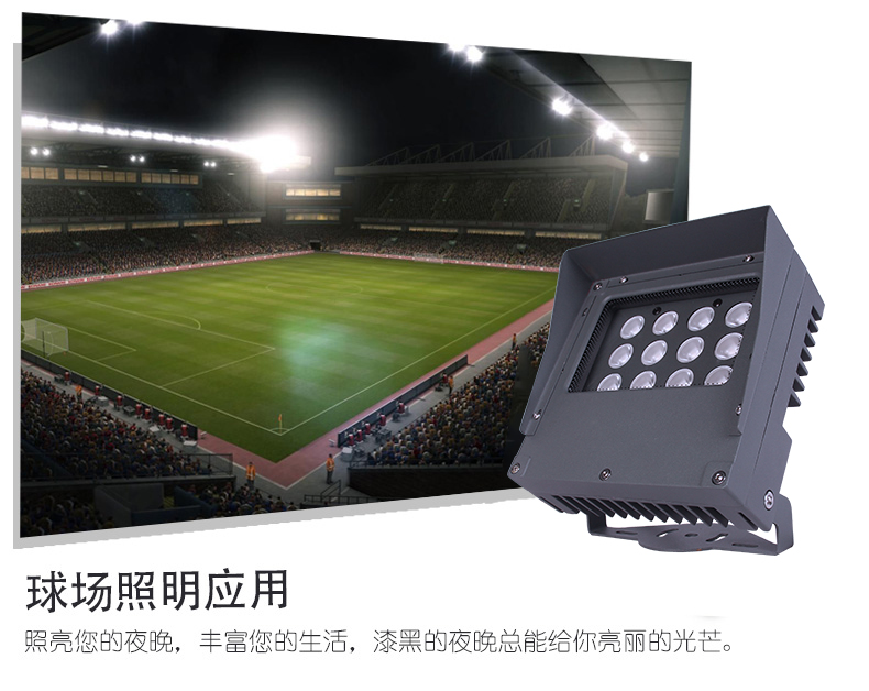 投光灯|照树灯